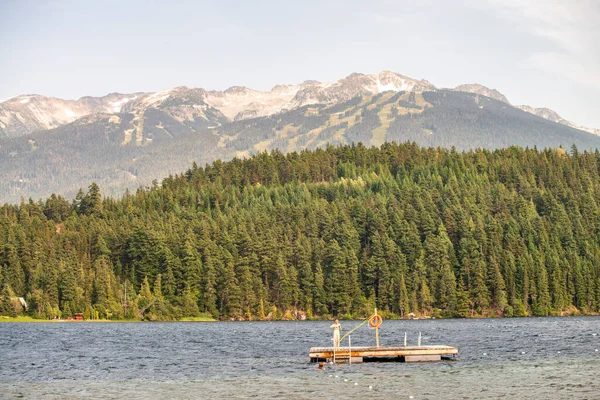 Alta Lake Omgiven Vackra Berg Och Skogar Whistler Kanada — Stockfoto