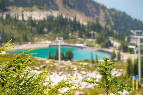 Beau Lac Montagne Whistler Saison Estivale Canada — Photo
