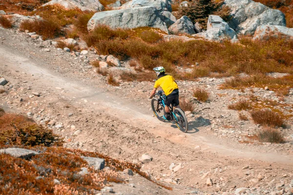 ウィスラー カナダ 2017年8月12日 男は夏の間 ウィスラー山をマウンテンバイクで下ります ウィスラー山は夏にマウンテンバイクのシーンに変換されます — ストック写真