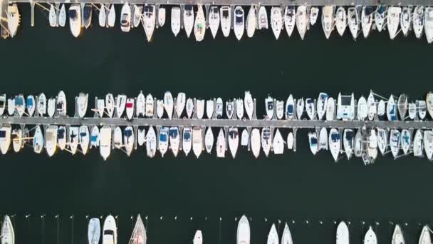 Luftaufnahme des Hafens von Rimini und der angedockten Boote im Sommer, Italien — Stockvideo