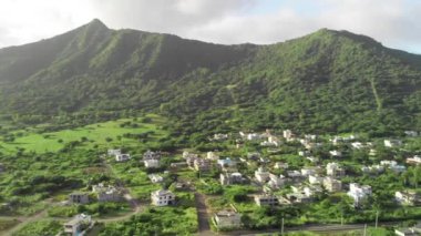 Mauritius 'un güzel hava manzarası. Orman ve okyanus