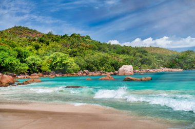 Güzel Seychelle Adası. Praslin tropikal renkler.