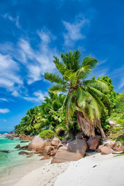 Beautiful Seychelle Island Praslin Tropical Colors — Stock Photo, Image