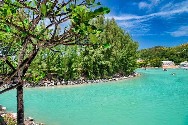 Prachtige Kustlijn Van Praslin Seychellen Eilanden — Stockfoto