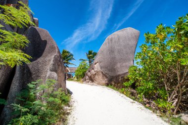 Güneşli bir günde Seyşeller 'in tropik ada manzarası.