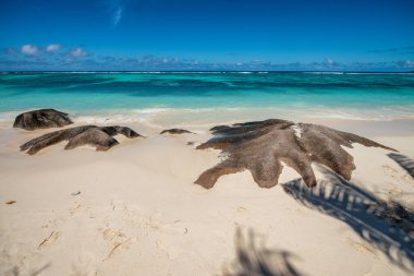 Seyşel Adaları 'nın Granit Kayaları. Arka planda güzel bir gökyüzü, Afrika.