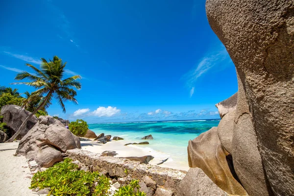 Paysage Tropical Des Seychelles Par Une Belle Journée Ensoleillée — Photo