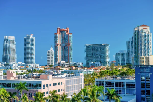 Miami Sahili Gökdelenleri Macarthur Geçidi Nden Palmiyeler Güneşli Bir Günde — Stok fotoğraf