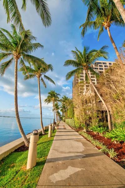 Miami Brickell Bâtiments Arbres Clés Par Une Matinée Ensoleillée Floride — Photo