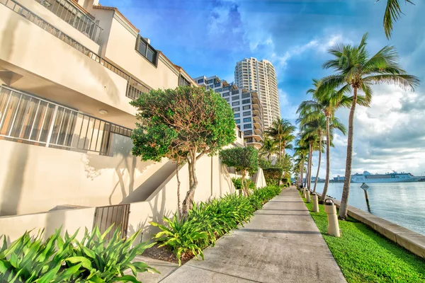 Miami Brickell Key Buildings Trees Sunny Morning Florida Usa — Stock Photo, Image