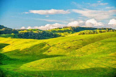 Baharda Yeni Zelanda Tepelerinin inanılmaz renkleri.