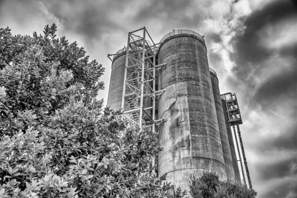 Silos Industriali Circondati Alberi Concetto Sostenibilità — Foto Stock