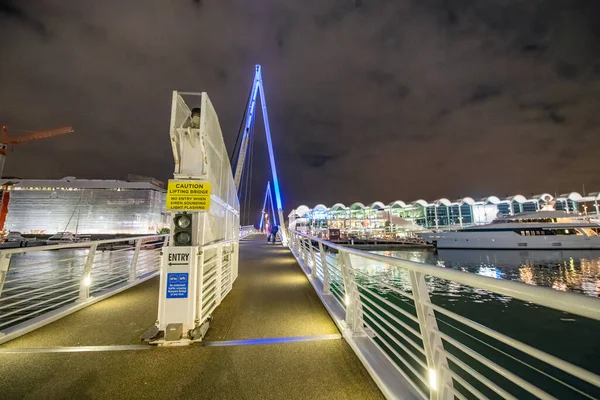 Ponte Sul Bacino Del Viadotto Notte Auckland Nuova Zelanda — Foto Stock
