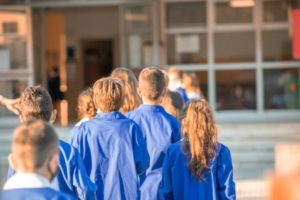Back View Primary School Classmates First Day Lessons Covid Pandemic — Stock Photo, Image