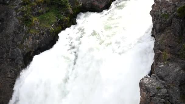 Lower Falls, Yellowstone Canyon, Wyoming - Stati Uniti — Video Stock