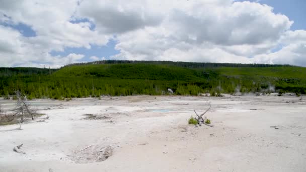 Mamut Hot Springs gejzíry v Yellowstonském národním parku, WY - USA — Stock video