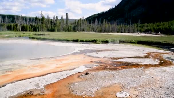 Zwembad en geiser van Yellowstone National Park — Stockvideo