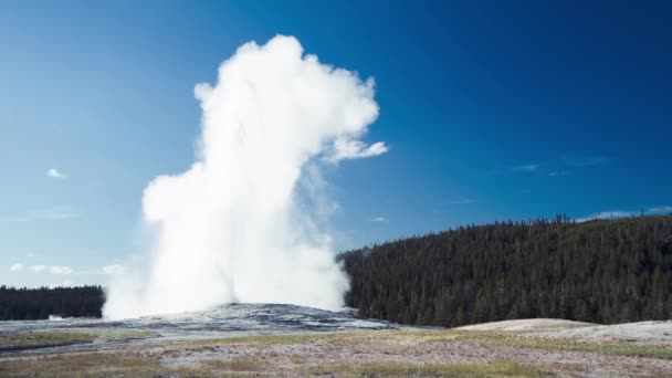 Források, Régi Hűséges Gejzír kitörés, Felső Gejzír-medence, Yellowstone, USA — Stock videók