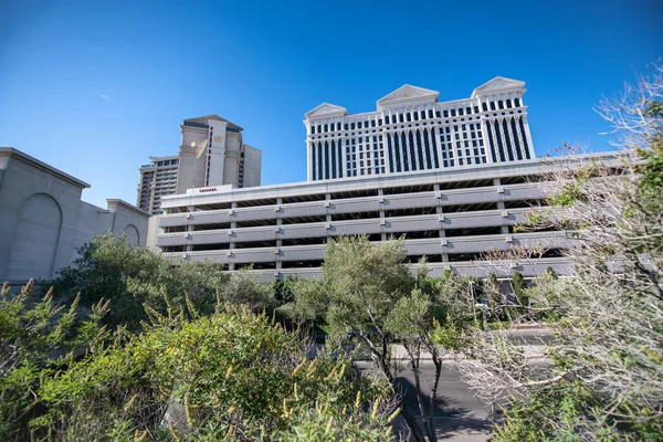 Las Vegas Juni 2019 Caesar Palace Hotel Mit Umliegenden Gebäuden — Stockfoto