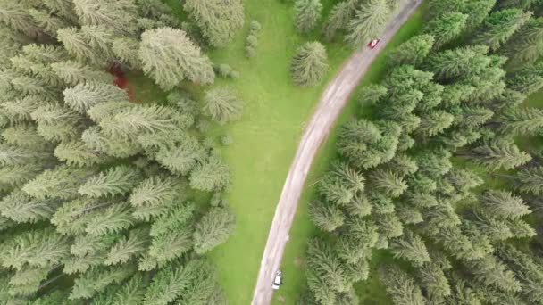 夏の高山植物の空中風景、飛行ドローンからの森林のオーバーヘッドパノラマ — ストック動画