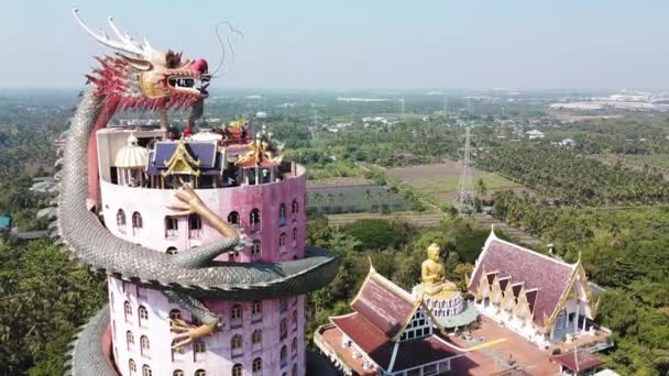 NAKHON PATHOM, THAILAND - 15. prosince 2019: Úžasný letecký pohled na chrám Wat Samphran Dragon, buddhistický chrám v Amphoe Sam Phran — Stock video