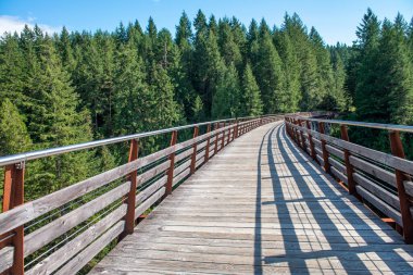 Kinsol Trestle Eski Köprüsü, Kanada.