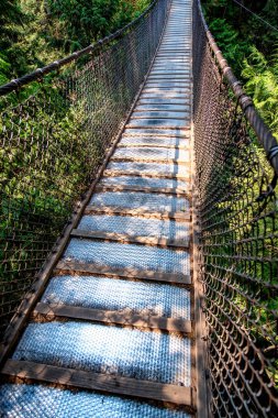 Ormanın üzerindeki boş köprü.