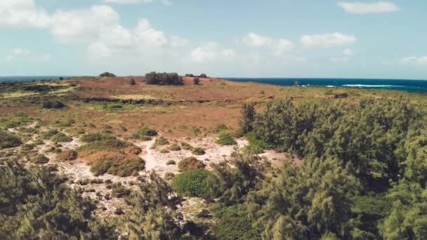 モーリシャスのガブリエル島の無人機からの空中ビュー — ストック動画