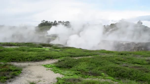 Crateri del Moon Geysers Park, Nuova Zelanda. Vapore dalla valle geotermica. Rallentatore — Video Stock