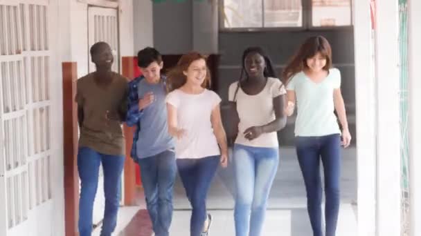 Группа из пяти мульти-этнических подростков счастливо возвращается в школу улыбаясь в коридоре — стоковое видео
