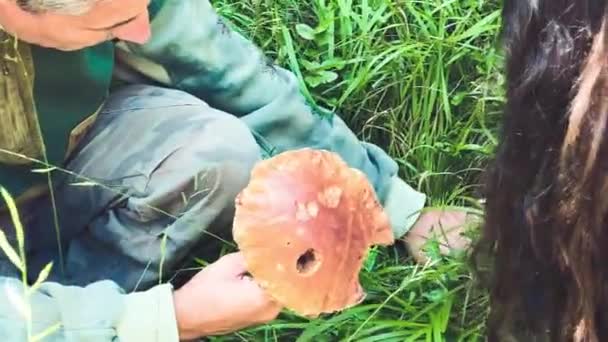 Hombre con hija recogiendo hongos boletus en el bosque — Vídeos de Stock