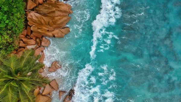 Гранитные Скалы Красивые Пальмы Сейшельских Островов Индийский Океан — стоковое фото