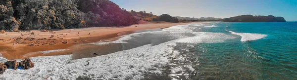 Heißwasserstrand Der Ostküste Der Coromandel Halbinsel Neuseeland Drohnen Luftaufnahme — Stockfoto