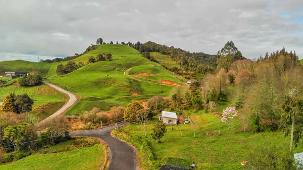 봄철의 와이토모 시골과 뉴질랜드의 — 스톡 사진