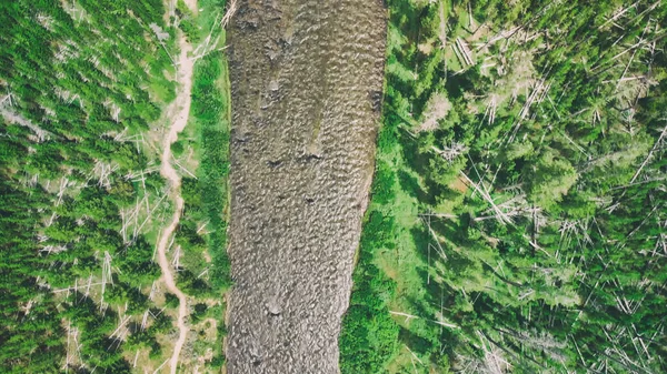 Vue Aérienne Rivière Yellowstone Par Une Journée Été Wyoming — Photo