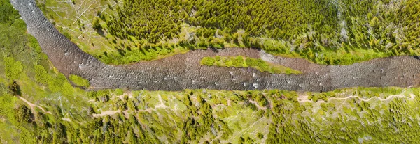 Fiume Yellowstone Wyoming Overhead Vista Panoramica Verso Basso Dal Drone — Foto Stock