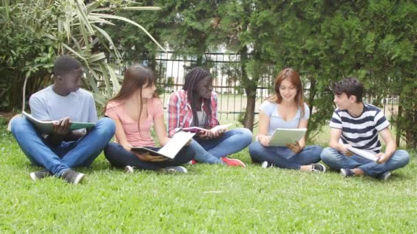 Eine Gruppe Teenager entspannte sich im Stadtpark beim Schulunterricht. Zeitlupe — Stockvideo