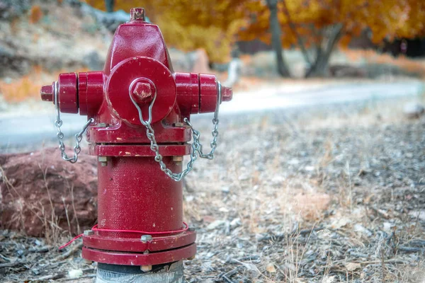 Rode Hydrant Aan Weggrens Het Nationaal Park — Stockfoto
