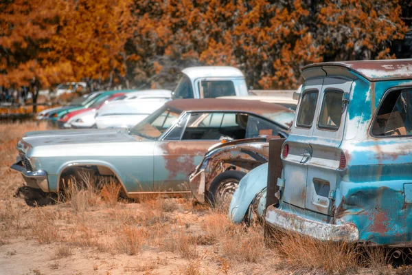 Auto Parts Store in the middle of the desert in autumn season. Old automobiles, car wreckages.