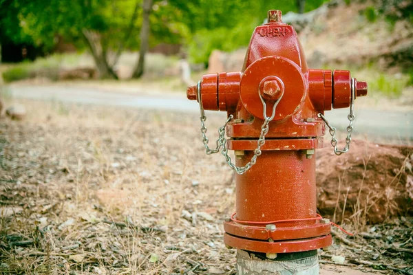 Rode Hydrant Aan Weggrens Het Nationaal Park — Stockfoto