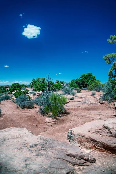 Dead Horse Point National Scenic Landscape View Red Rocks Desert — Stock Photo, Image