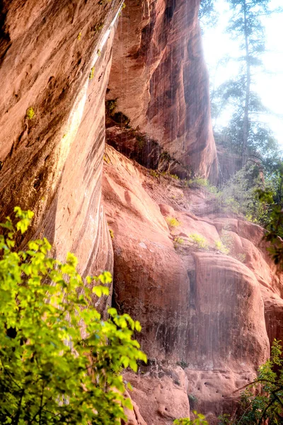 Red Rocks Mountains Zion National Park Waterfalls Summer Season Usa — Stock Photo, Image