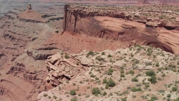 Luftaufnahme der amerikanischen Schlucht in der Sommersaison, Dead Horse State Park — Stockvideo