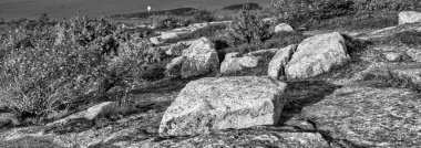 Acadia Ulusal Parkı 'nın güzel kayaları ve okyanusu, Maine.