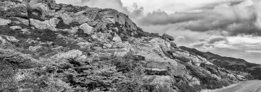 Washington Dağı 'nın yeşillik mevsimi, Beyaz Dağ Ulusal Ormanı, New Hampshire.