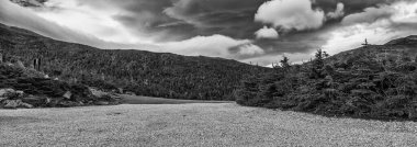 Muhteşem yeşillik renkleri. Sonbahar mevsiminde ormanın içinden geçen New England Yolu.