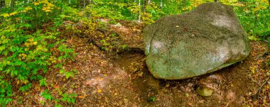 Yeşillik mevsiminde New Hampshire 'ın orman renkleri.