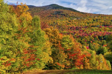 New England 'da dağ yapraklarının renkleri toplanıyor.