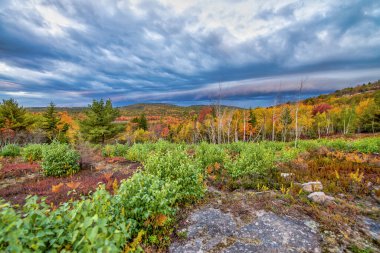 Cadillac Dağı Yeşillik Mevsimi, Maine.