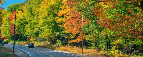 Amazing foliage colors. New England road through the forest in autumn season.